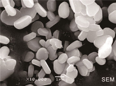 Bom pó da alumina da pureza alta da cerâmica do óxido de alumínio do Dispersibility 99,95%