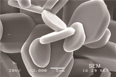 placa cerâmica de moedura da alumina da bolacha branca da cerâmica do óxido 0.8g/Cm3 de alumínio